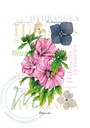 A4 Affiche - Fleurs Hibiscus - Hydrangea