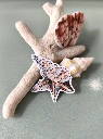 STICKERS COQUILLAGE 3 - ABYSSES ENCHANTES - MARICH.webp