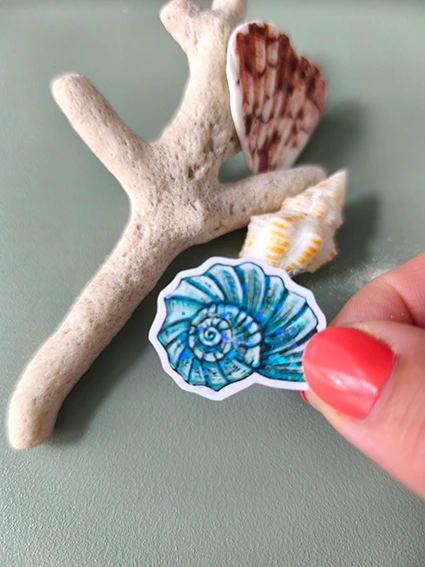 STICKERS COQUILLAGE 6 - ABYSSES ENCHANTES - MARICH.webp