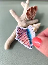 STICKERS COQUILLAGE BIS- ABYSSES ENCHANTES - MARICH.webp