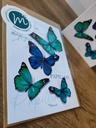 Marich A6 carte postale - Papillons bleus recto