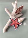 STICKERS ETOILE DE MER 1- ABYSSES ENCHANTES - MARICH.jpg
