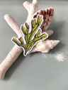 STICKERS ALGUE- ABYSSES ENCHANTES - MARICH.jpg