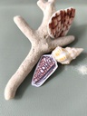 STICKERS COQUILLAGE 4 - ABYSSES ENCHANTES - MARICH.jpg