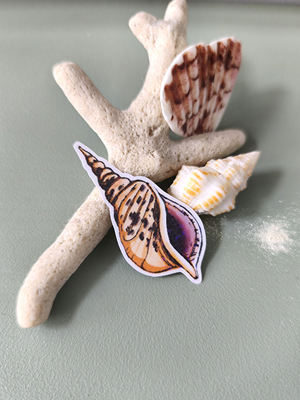 STICKERS COQUILLAGE 1 BIS- ABYSSES ENCHANTES - MARICH.jpg