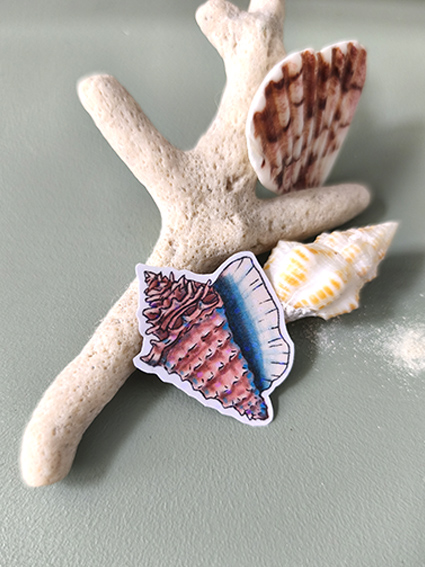 STICKERS COQUILLAGE BIS- ABYSSES ENCHANTES - MARICH.jpg