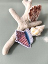 STICKERS COQUILLAGE BIS- ABYSSES ENCHANTES - MARICH.jpg