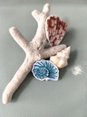 STICKERS COQUILLAGE 6 - ABYSSES ENCHANTES - MARICH.jpg