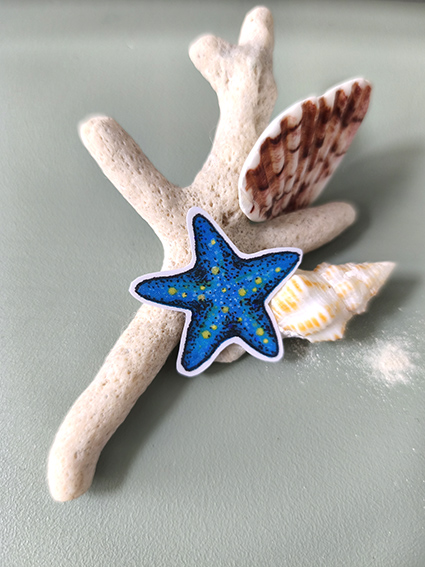 STICKERS ETOILE DE MER 3- ABYSSES ENCHANTES - MARICH.jpg