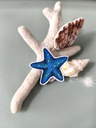 STICKERS ETOILE DE MER 3- ABYSSES ENCHANTES - MARICH.jpg