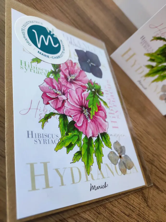 Marich A6 carte postale - Fleurs Hibiscus - Hydrangea recto