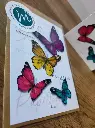 Marich A6 carte postale - Papillons multicolores recto