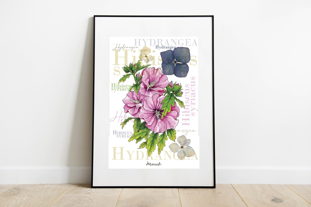 A4 Affiche - Fleurs Hibiscus - Hydrangea
