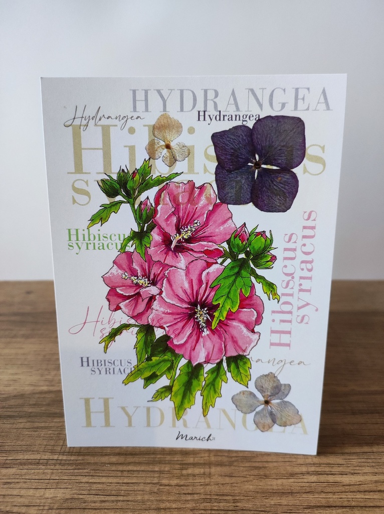 A6 carte postale - Fleurs Hibiscus - Hydrangea