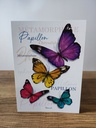 A6 carte postale - Papillons multicolores