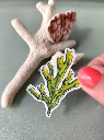 Solographique Algue - Sticker individuel holographique