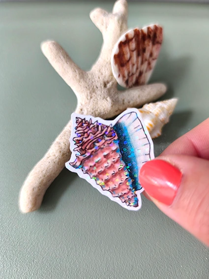 Solographique coquillage 4 - Sticker individuel holographique