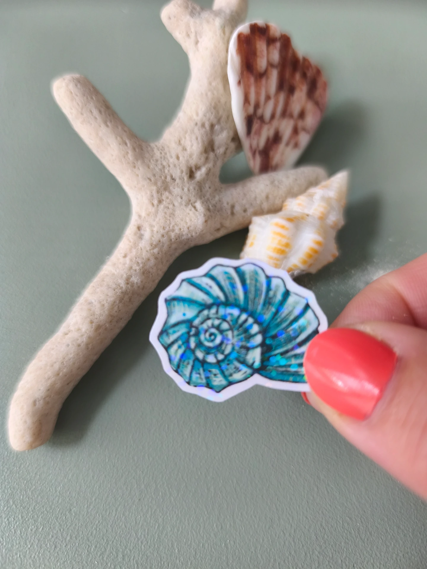 Solographique Coquillage 4 - Sticker individuel holographique