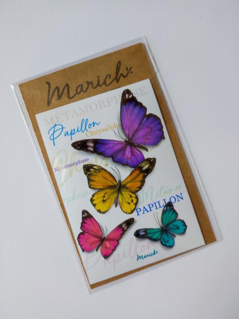 Magnet Papillons multicolores