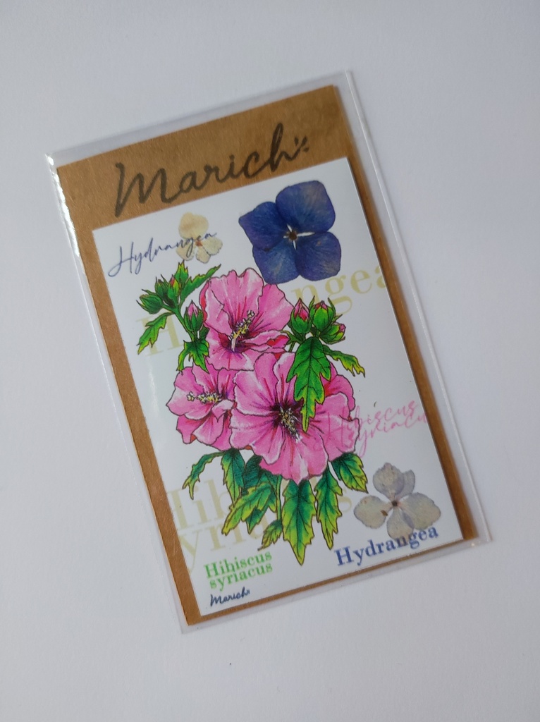 Magnet fleurs hibiscus, hydrangea