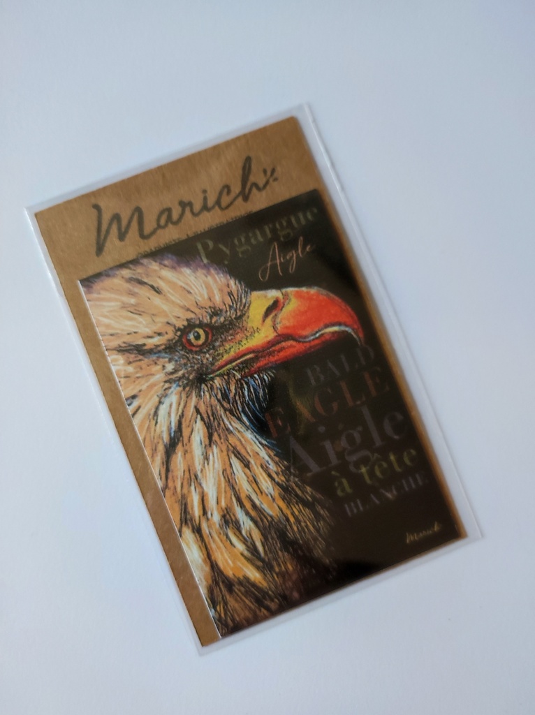 Magnet aigle