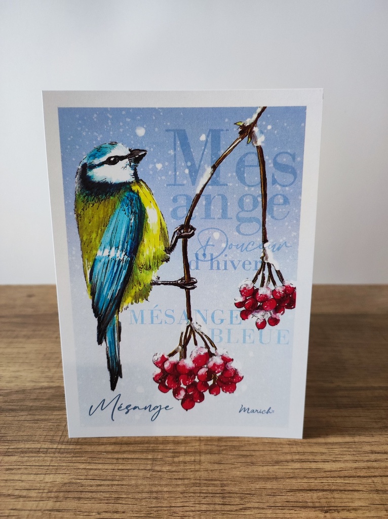 A6 carte postale - Mésange d'hiver