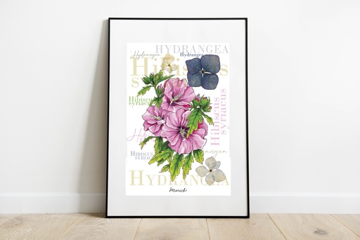 A4 Affiche - Fleurs Hibiscus - Hydrangea