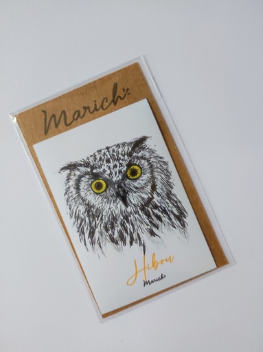 Magnet hibou
